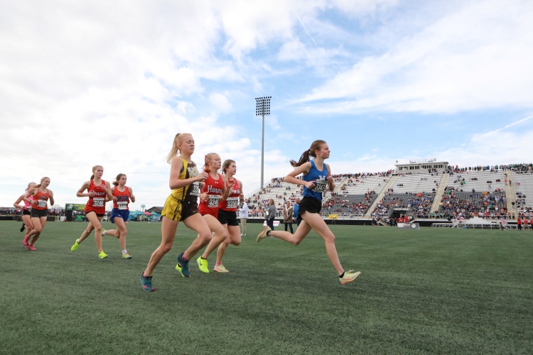 OHSAA Cross Country